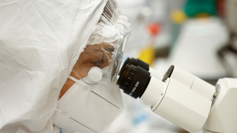 اكتشاف سلالتي 