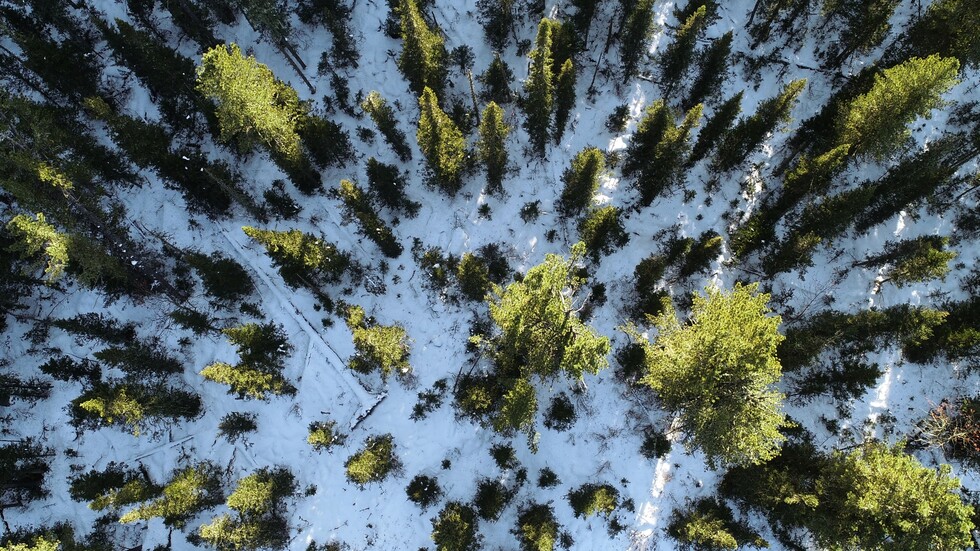 بيسكوف: ميزان الطاقة لروسيا صديق للبيئة أكثر من دول أخرى