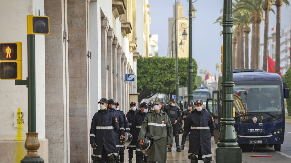 تقرير: تفكيك شبكات تنشط في ميدان التهريب الدولي للمخدرات في المغرب