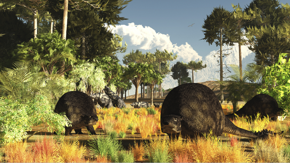 كيف ستكون الأرض مختلفة إذا لم يكن الإنسان الحديث موجودا؟