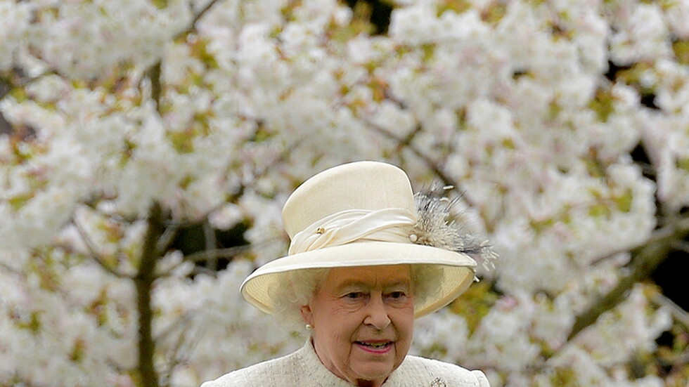 بعد إصابتها بالتواء في الظهر.. الملكة إليزابييث تقف مبتسمة في قصر ويندسور