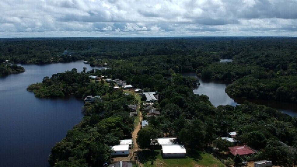 تقرير: إزالة غابات الأمازون تسجل أعلى مستوى في 15 عاما