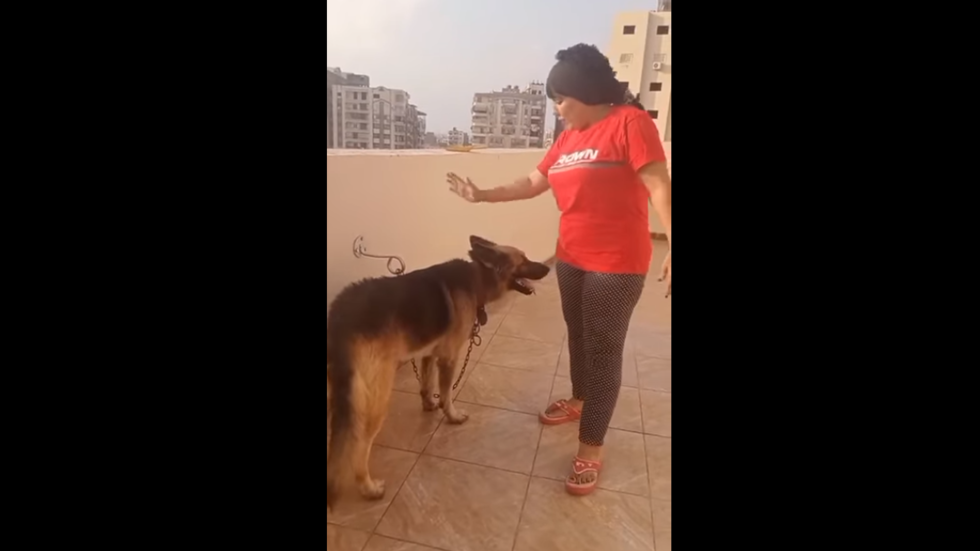 فرشت لكلبها سجادة الصلاة.. محام مصري يقدم بلاغا ضد سيدة بتهمة ازدراء الأديان (فيديو)