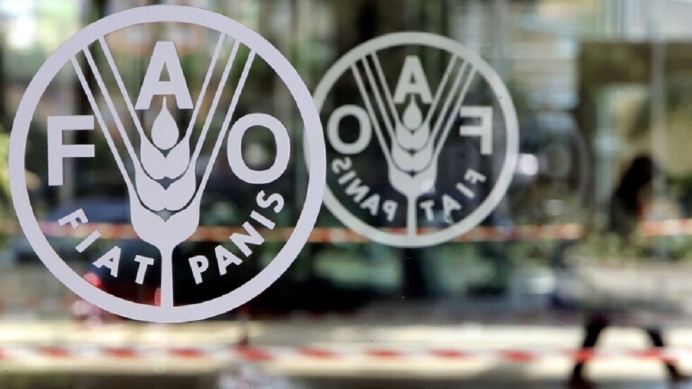 "الفاو" تدعو الدول التي تواجه كورونا للاستعداد إلى "صدمات جديدة"