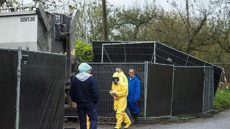 بعد تفشي إنفلونزا الطيور.. التشيك تحظر إخراج الدواجن إلى الهواء الطلق