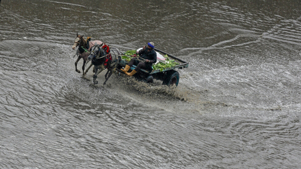 مصر مقبلة على شتاء شديد البرودة.. تحول كبير الشهر المقبل