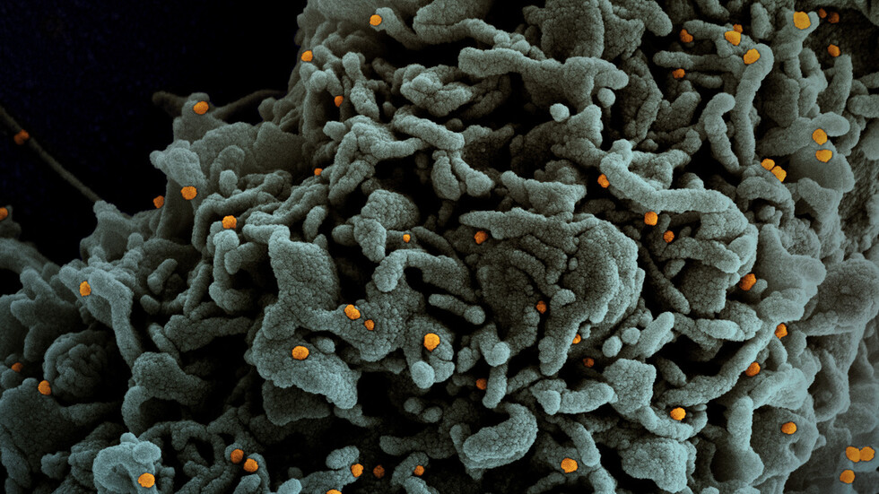 الصحة الأوروبية: خطر انتشار المتحور الجديد 