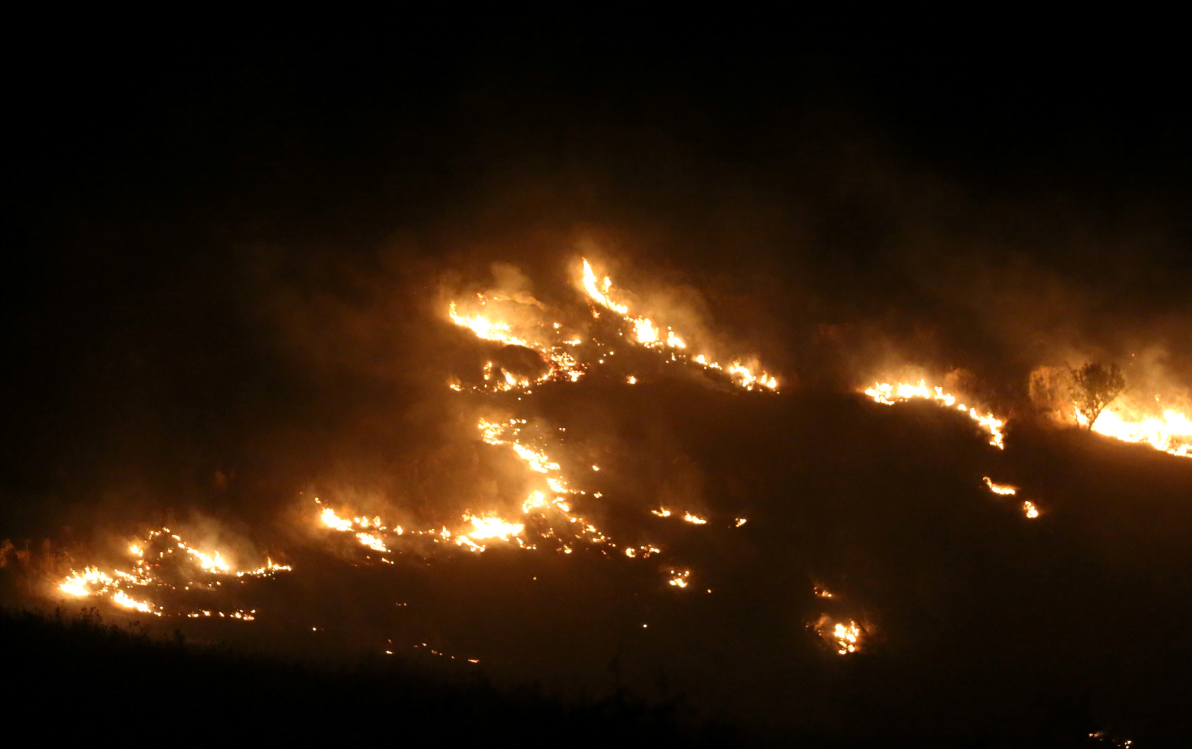 حريق كبير في جنوب لبنان ومناشدات للمساعدة السريعة  (فيديو)