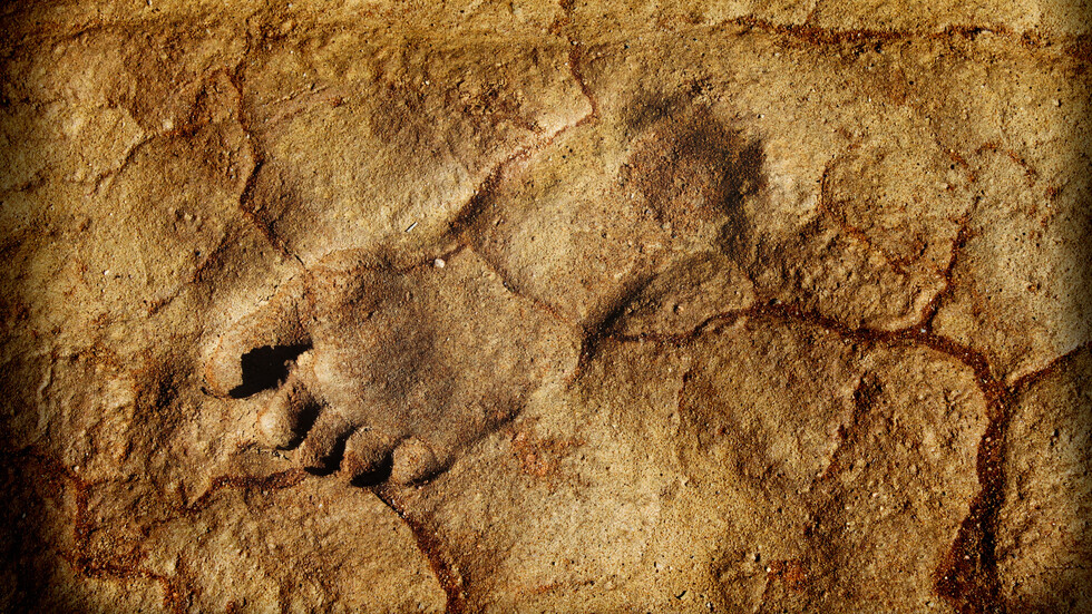 حل لغز آثار أقدام غريبة عمرها 3.7 مليون سنة اكتشفت في تنزانيا