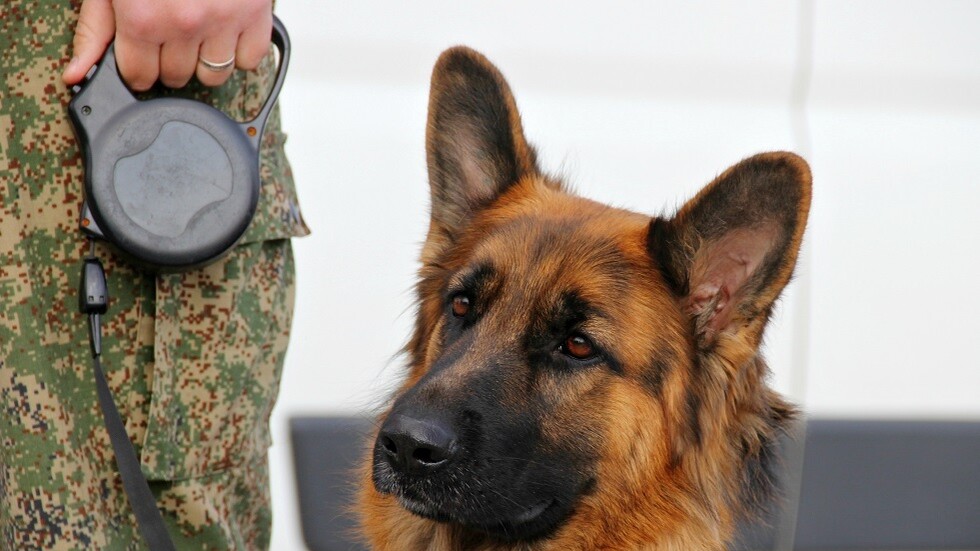 روسيا.. اعتقال مراهق في ياروسلافل دعا إلى العنف ضد رجال الأمن