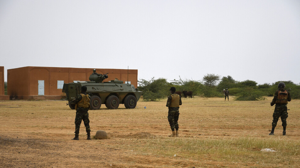 مقتل حوالى 100 "إرهابي" بعملية مشتركة لجيشي النيجر وبوركينا فاسو