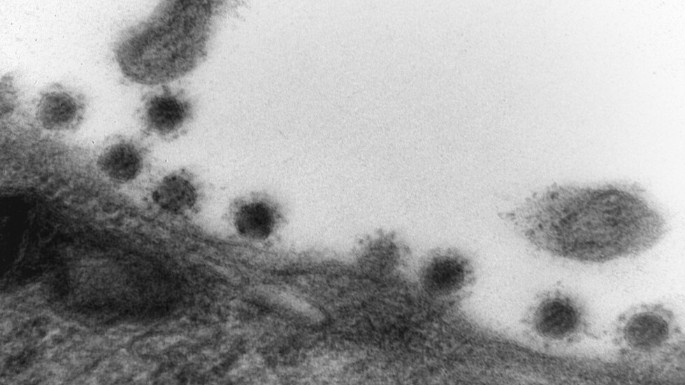 عالم: ظهور "أوميكرون" قد يدل على تحول المرض إلى عدوى موسمية