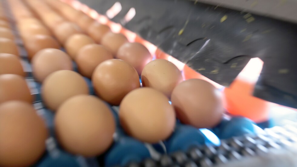 تعرف على أساليب تخزين البيض بوصفة صينية