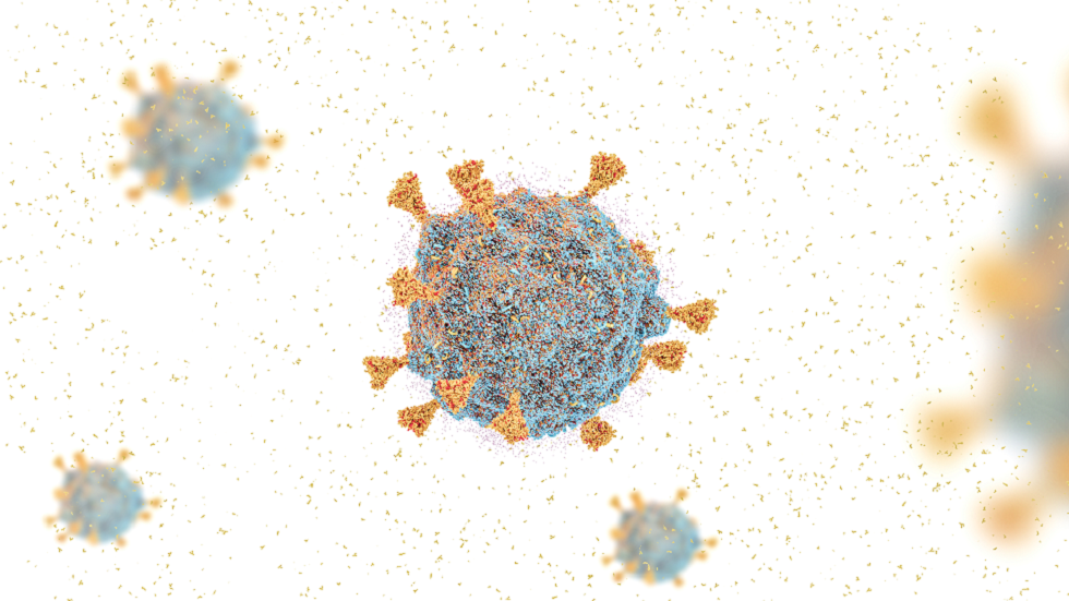 علماء يطورون بروتينا مندمجا يثبت فعاليته كدواء واعد ضد SARS-CoV-2  وطفراته