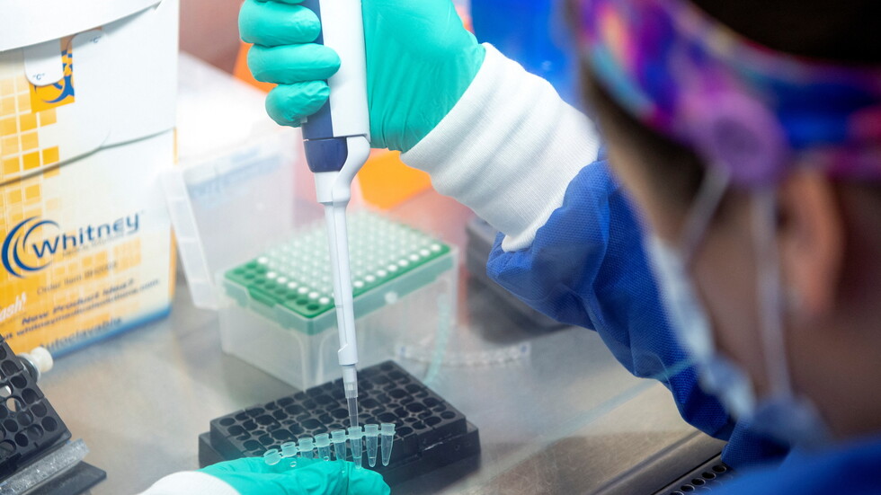 كورونا.. رواندا تسجل 6 إصابات بمتحور "أوميكرون"