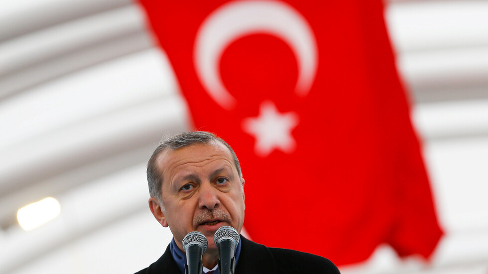 بينهم أبي أحمد والمنفي.. أردوغان يستقبل زعماء أفارقة في إسطنبول