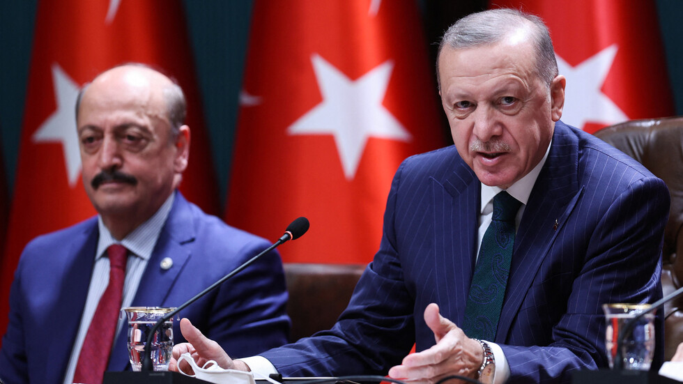 أردوغان يجدد دعوته إلى منح دول إفريقية تمثيلا بين الأعضاء الدائمين في مجلس الأمن الدولي