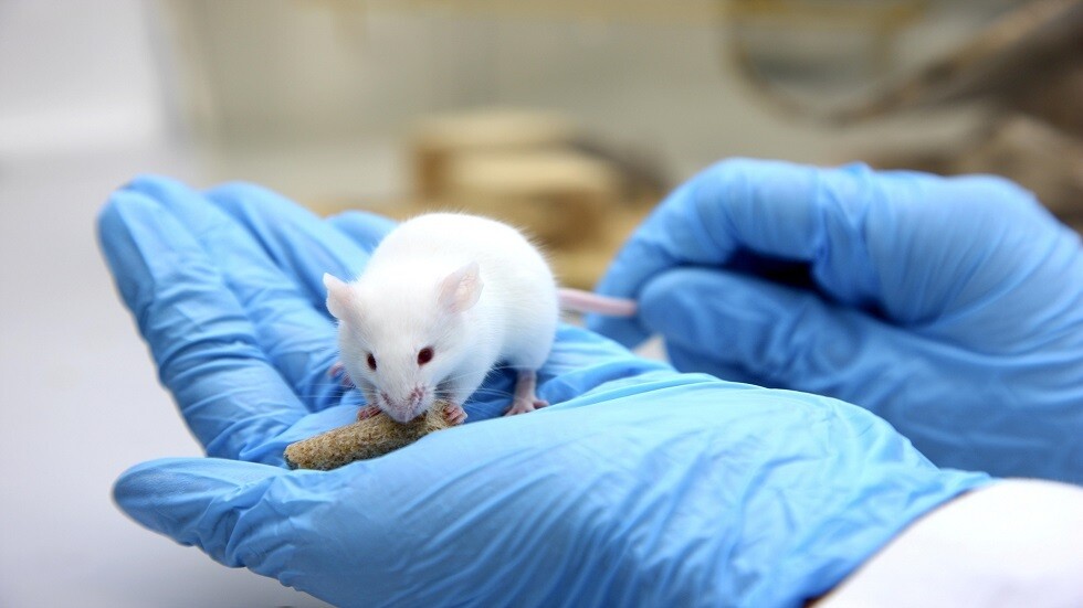 اكتشاف علاقة بين متحور 