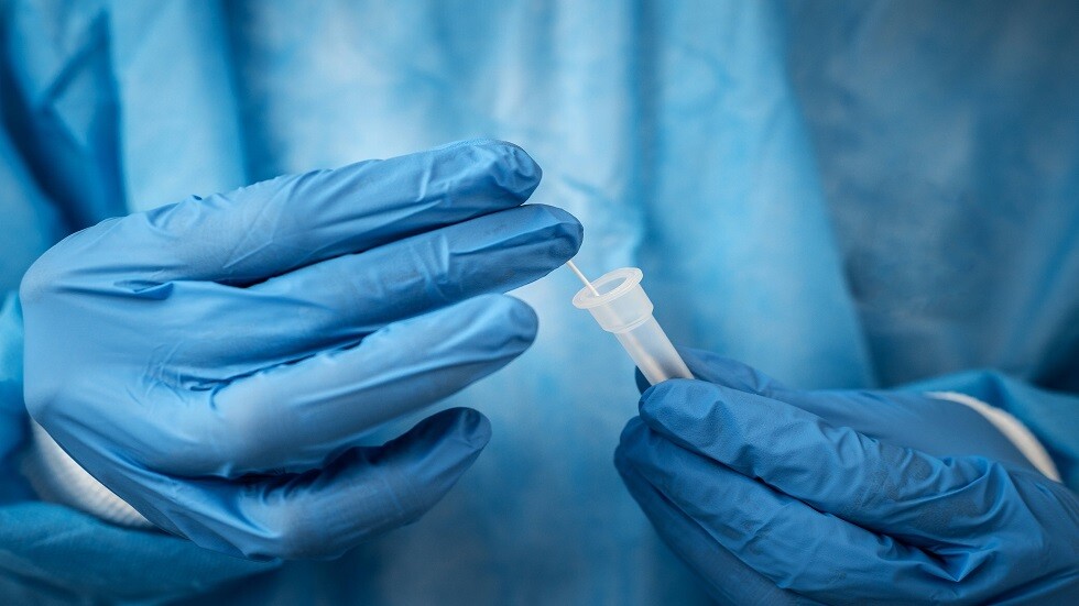 علماء روس يبتكرون مادة أساسها اللَّثَة قابلة للتحلل الحيوي