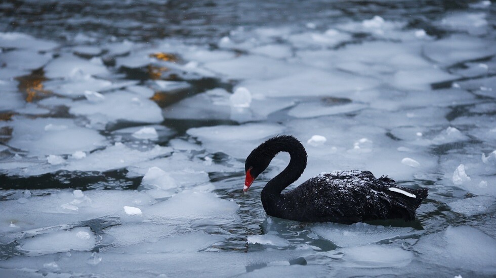 برد قارس يجتاح أنقرة ويحول نوافيرها إلى تحف فنية (صور)