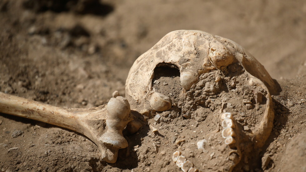 العثور على رفات شاب قُتل جراء تسونامي ناجم عن انفجار مدمر قبل 3600 عام