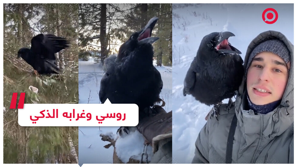 شاب روسي وغرابه الذكي