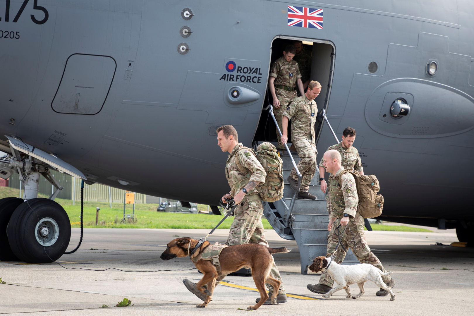 وزير بريطاني: الأولوية كانت للناس لا للحيوانات في عمليات الإجلاء من أفغانستان