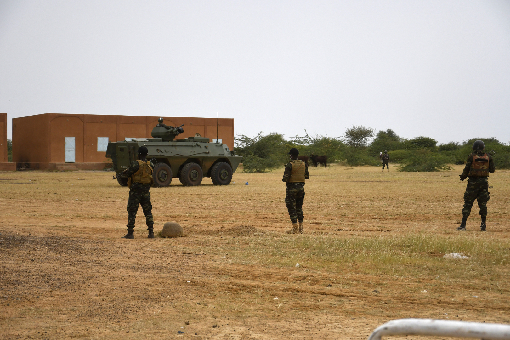 جيش النيجر يعلن تصفية 10 مسلحين