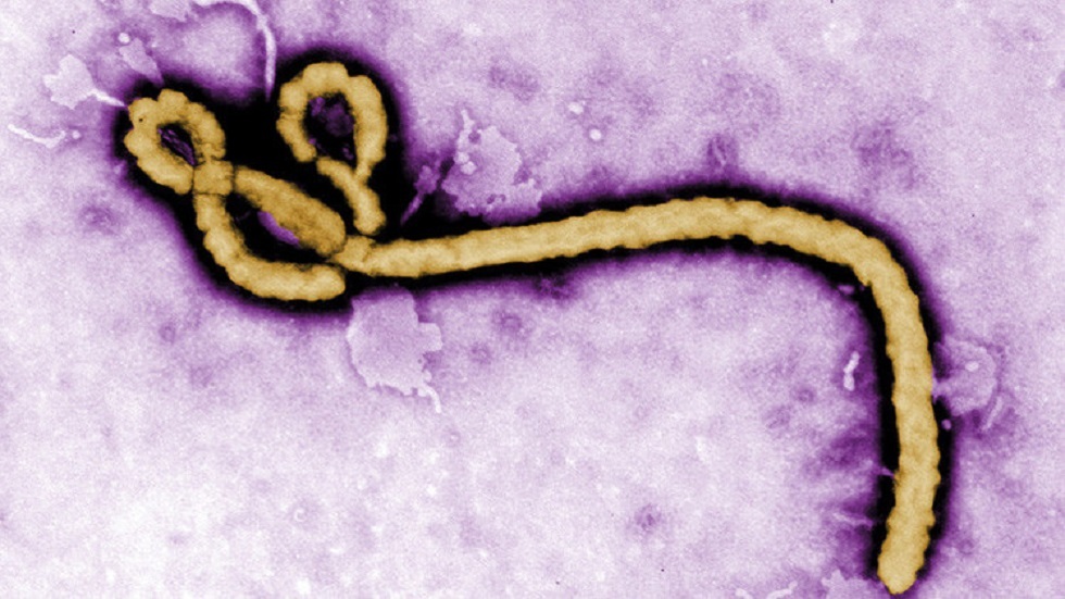 الكونغو تعلن انتهاء تفشي إيبولا