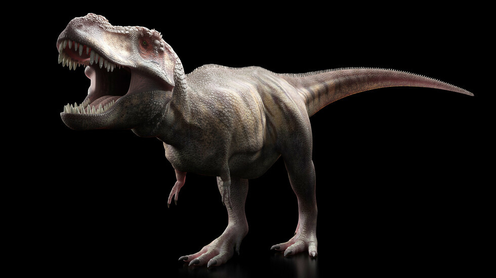 أكثر حفريات الديناصورات غرابة وروعة المكتشفة في عام 2021
