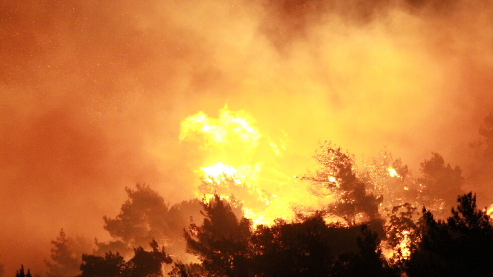 لبنان.. إخماد حريق ضخم بين بلدتي ذوق حلبا والنفيسة شمال البلاد (صور)