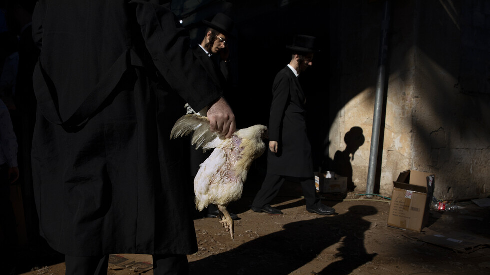 السلطات الإسرائيلية تدق ناقوس الخطر مع اكتشاف طفرة جديدة لإنفلونزا الطيور تنتقل إلى البشر