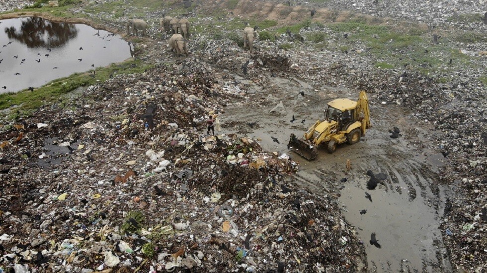 نفوق فيلين تناولا نفايات بلاستيكية في مكب بسريلانكا (فيديو)