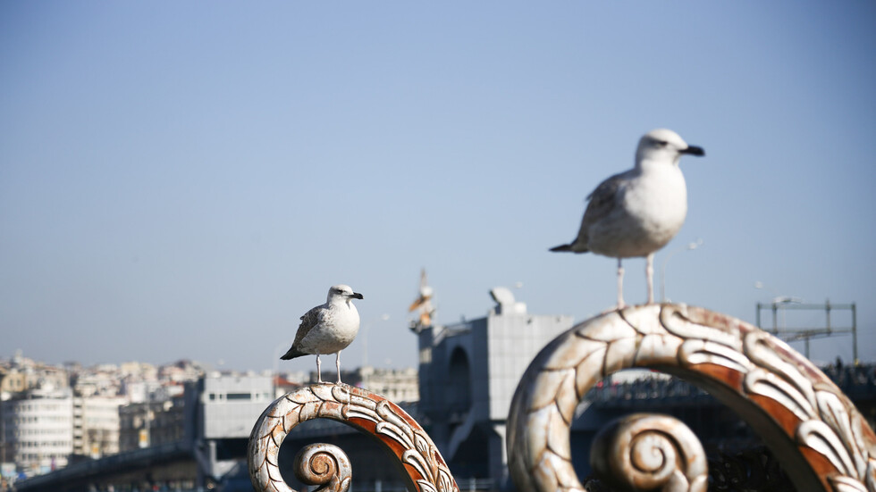 وفاة مفكر إسلامي تركي شهير