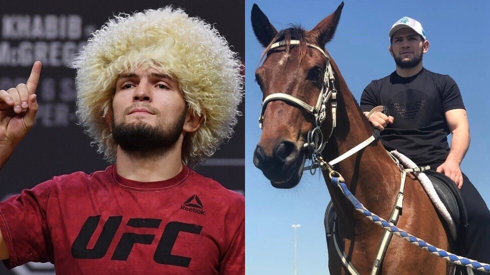 حبيب نورمحمدوف يطلق سلسلة مطاعم للوجبات السريعة منها لحم الحصان!