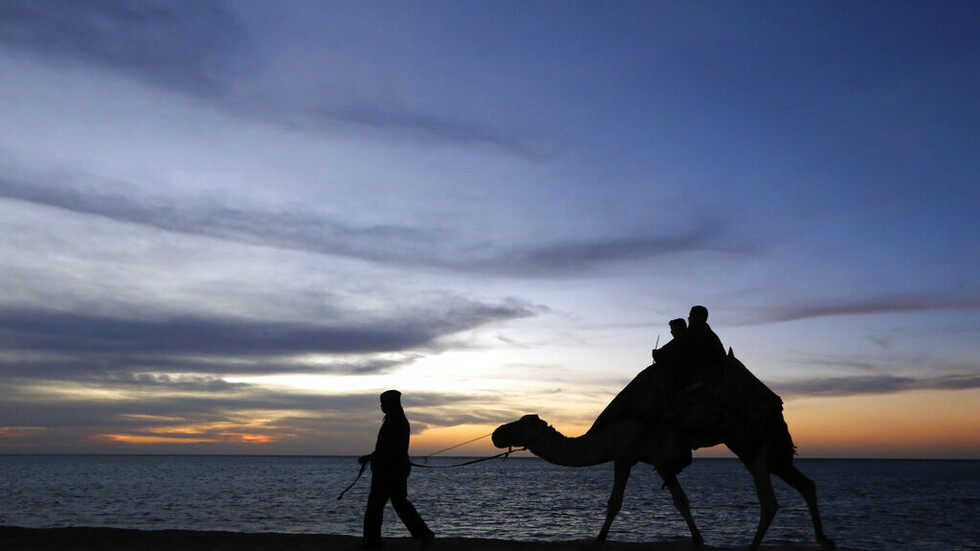 بالفيديو.. شدة البرد في السعودية تجمد الدموع في عيون الإبل