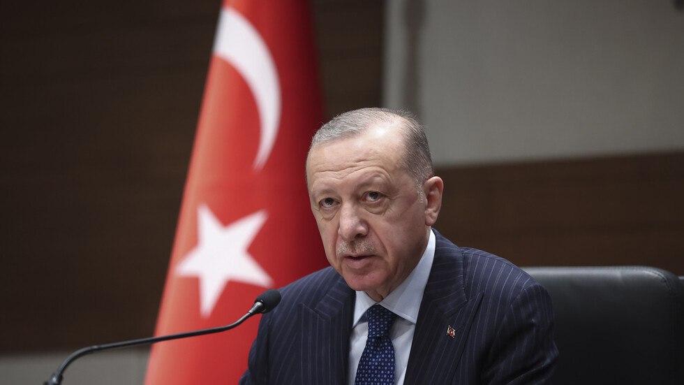 أردوغان يأمل بتنظيم لقاء شخصي بين بوتين وزيلينسكي