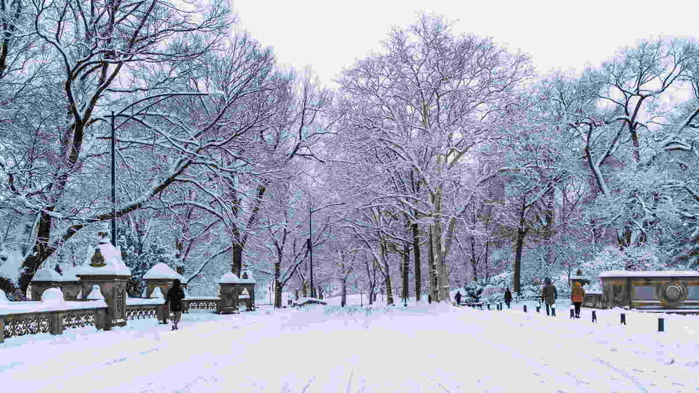بالفيديو.. نجاة طالبين من انهيار ثلجي ضخم في تركيا