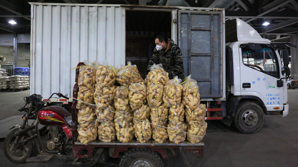 أكثر الأخطاء الشائعة في علاج الزنجبيل