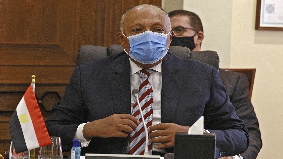 شكري: نتطلع لاتخاذ سوريا الإجراءات التي تسهل عودتها للجامعة العربية