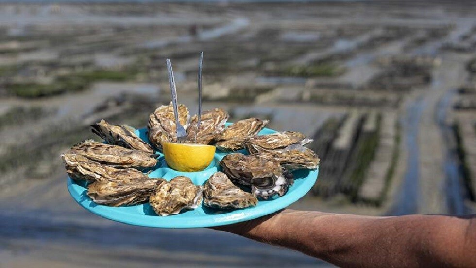 مادة يهدد نقصها بالإصابة بمرض نقص تروية القلب