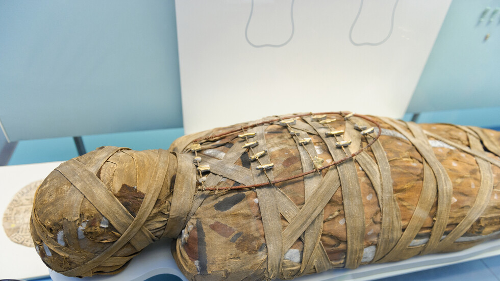 اكتشاف السبب الكامن وراء حفظ جنين لألفي عام داخل 