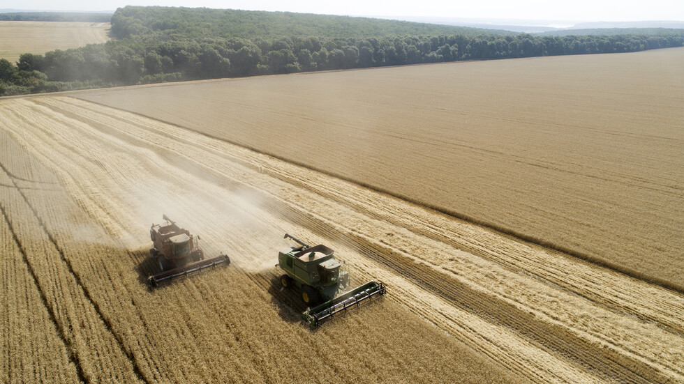 الرئيس الجزائري يأمر بمضاعفة إنتاج الحبوب