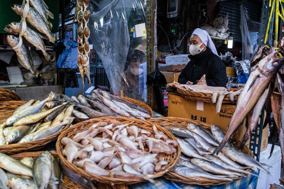 موقع مصري يكشف حقيقة أخطر سمكة في العالم (صورة)