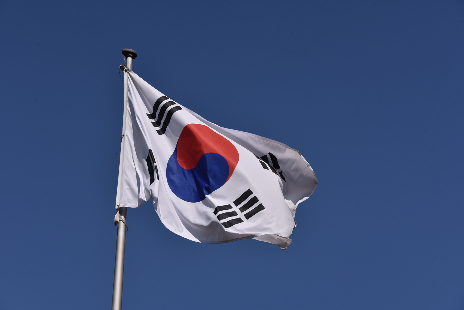 كوريا الجنوبية تسمح للمصابين بـ