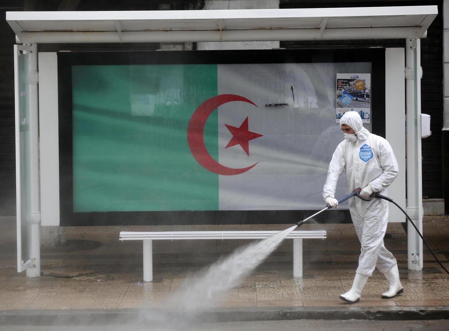 ولاية جزائرية تسجل 17 إصابة بكورونا وسط الأطفال ومن ضمنهم مواليد جدد