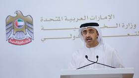 وزير الخارجية الإماراتي يطلب من نظيره الأمريكي تصنيف الحوثيين جماعة