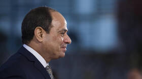السيسي يصدر توجيهات برفع الحد الأدنى للأجور في مصر
