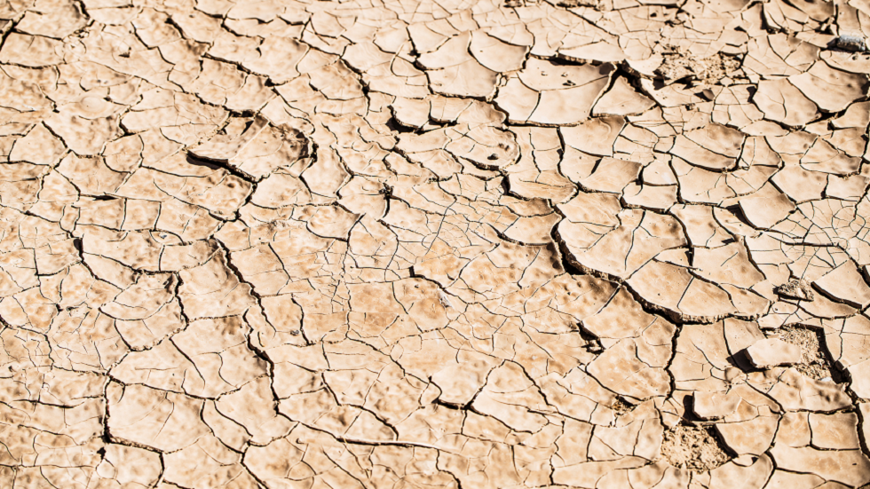 اكتشاف منطقة الجذور الجيولوجية في قشرة الأرض!