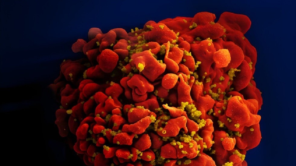 العلماء يكشفون عن المدة التي قد تستمر فيها الخلايا القاتلة لـ "كوفيد" بعد الإصابة!